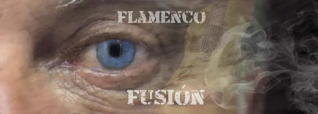 Inicio 1 Flamenco Fusión